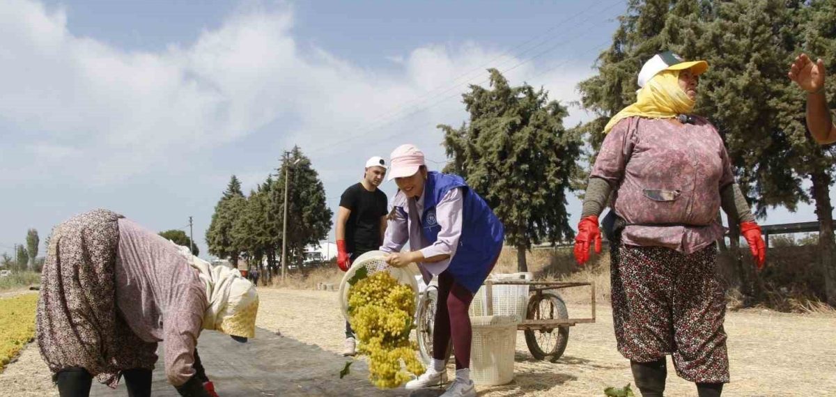Manisa’da 2026 hasadı için günlük işçi ücretleri 1.450–1.600 TL olarak belirlendi