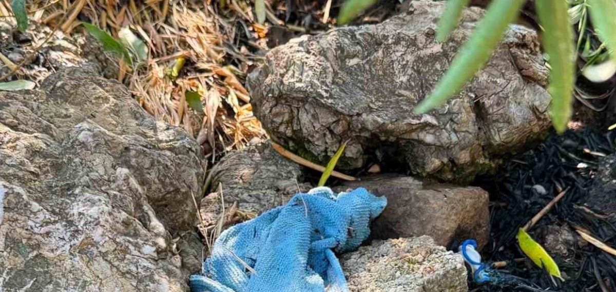 Marmaris’te ormanlık alanda çıkan yangın büyümeden söndürüldü, şüpheli yakalandı