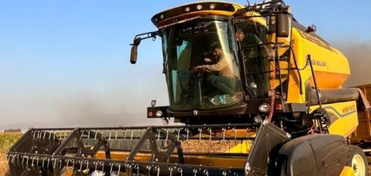 Milli buğday çeşidi PARLA, soğuğa ve kuraklığa dayanıklı yüksek verim sergiledi