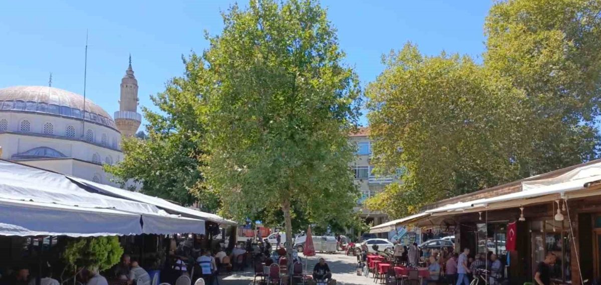Mudanya’daki hal yeri ihalelerinde Mudaş yüksek teklifler verince esnaf itiraz etti