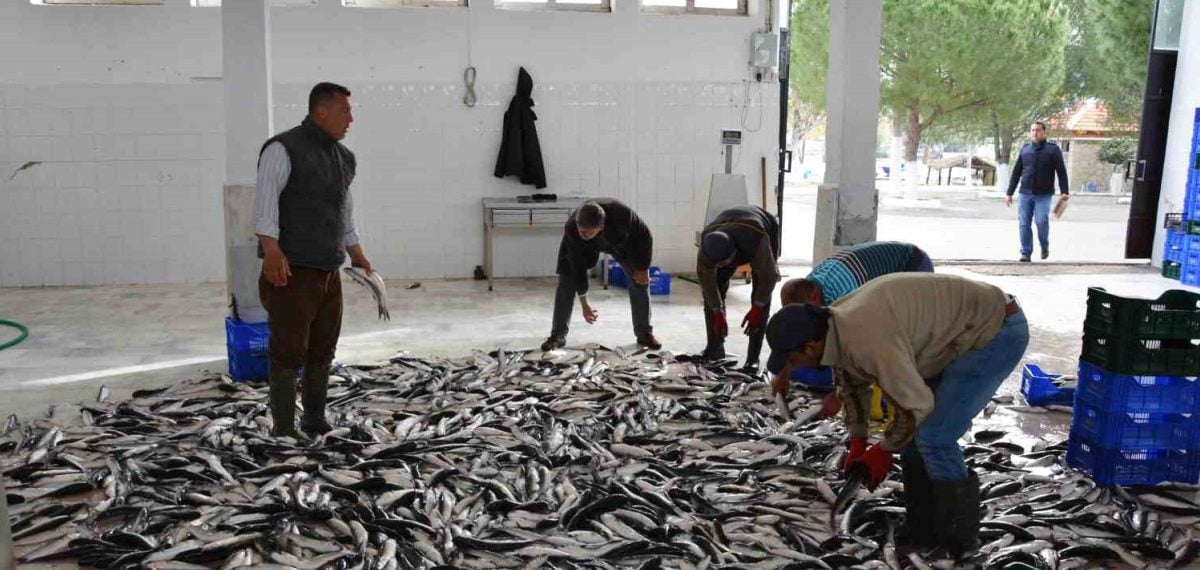 Muğla’nın Temmuz dış ticaretinde 142,2 milyon dolarlık ihracat ön planda