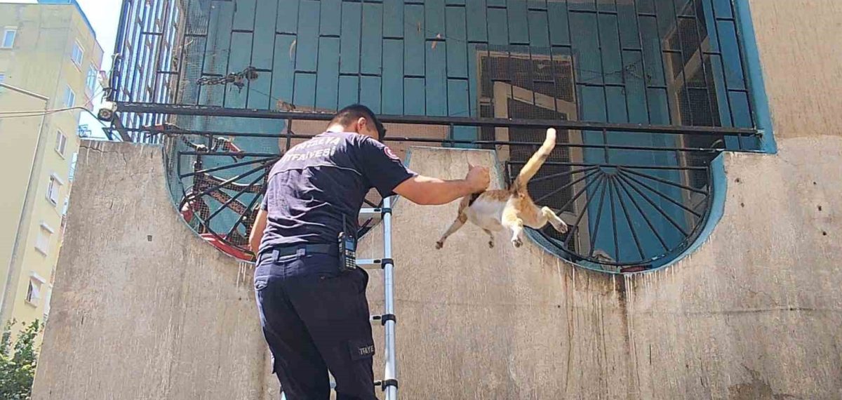 Muratpaşa’da boş dairede yangın çıktı, hamile kedi itfaiye tarafından kurtarıldı