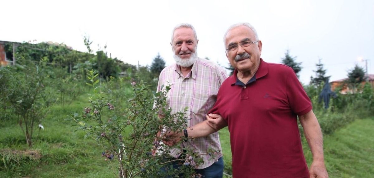 Ordu’da mavi yemiş ve çoban fasulyesinde üreticiye fidan, tohum ve alım garantisi