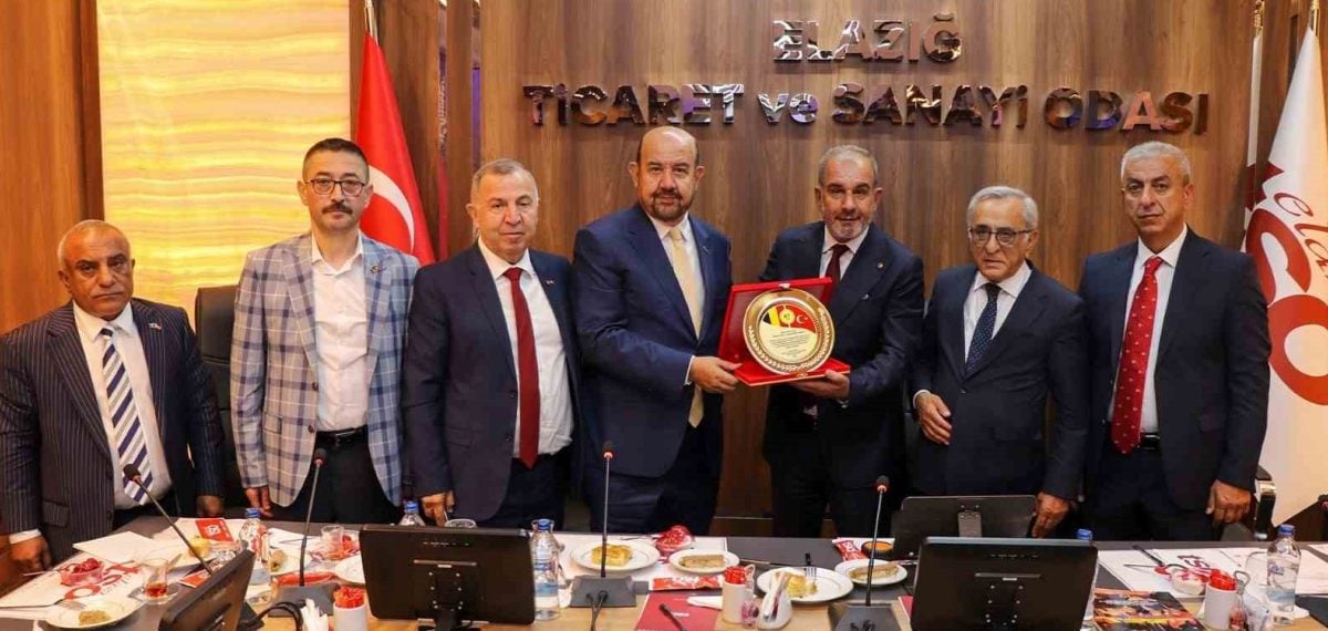 Romanya-Türkiye Ticaret Odası heyeti Elazığ TSO toplantısında iş birliği fırsatlarını anlattı