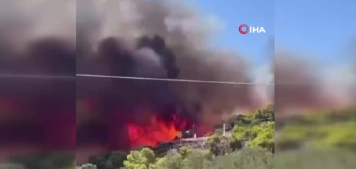 Salamina Adası’nda orman yangını: 2 ölü, 5 yaralı ve 500’den fazla tahliye