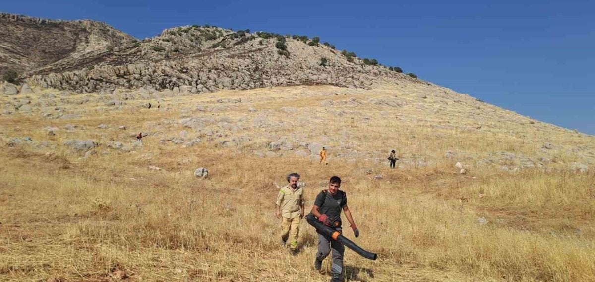 Silvan’da örtü yangını kontrol altına alındı, yaklaşık 350-400 dönüm yandı