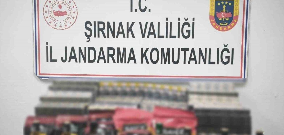 Şırnak’ta 82 milyon liralık gümrük kaçağı malzeme ele geçirildi, 112 şüpheliye işlem