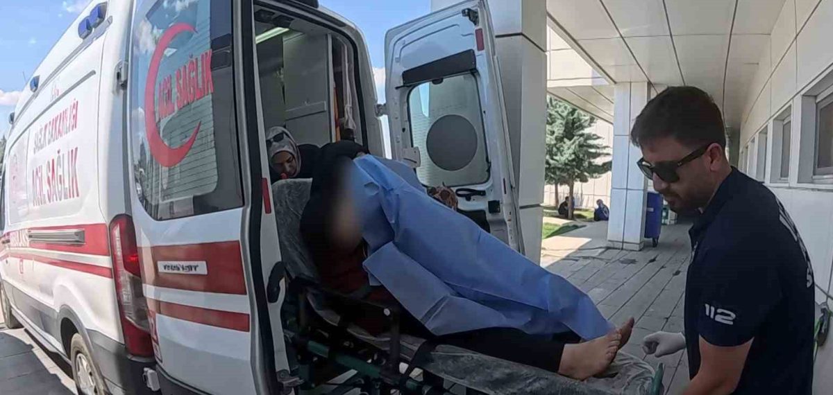 Sokaktaki kavgada tüfekten çıkan saçmalar bahçedeki kadını yaraladı