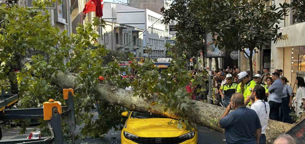 Teşvikiye Caddesi’nde çınar ağacı taksi ve park halindeki araca devrildi, yol üç saat kapandı