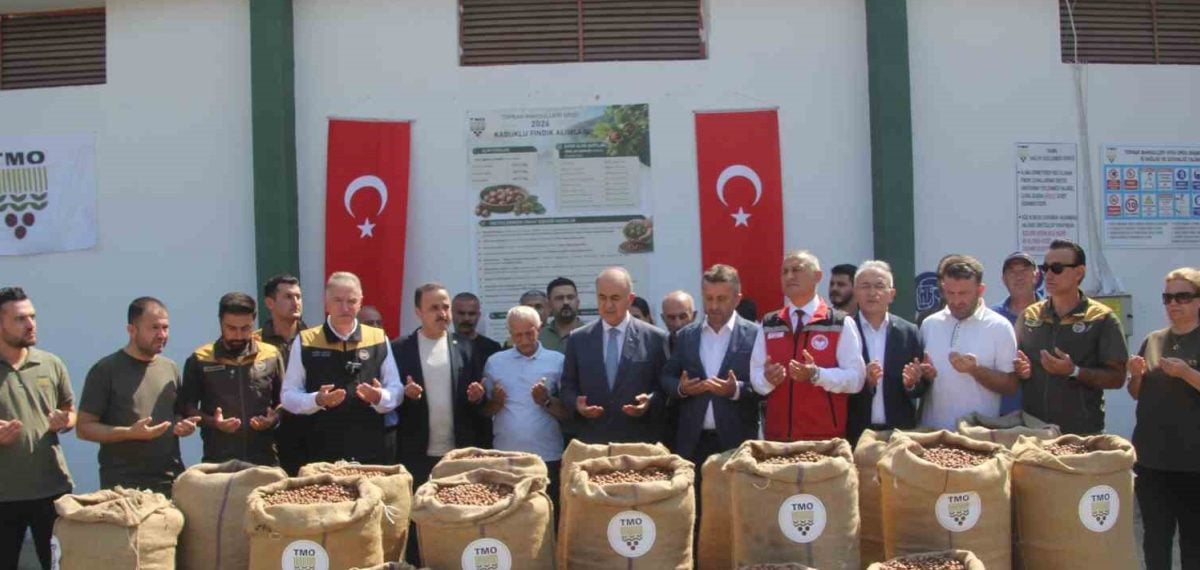TMO, 2026/2027 fındık alımlarını Giresun 255 TL, Levant 250 TL olarak başlattı