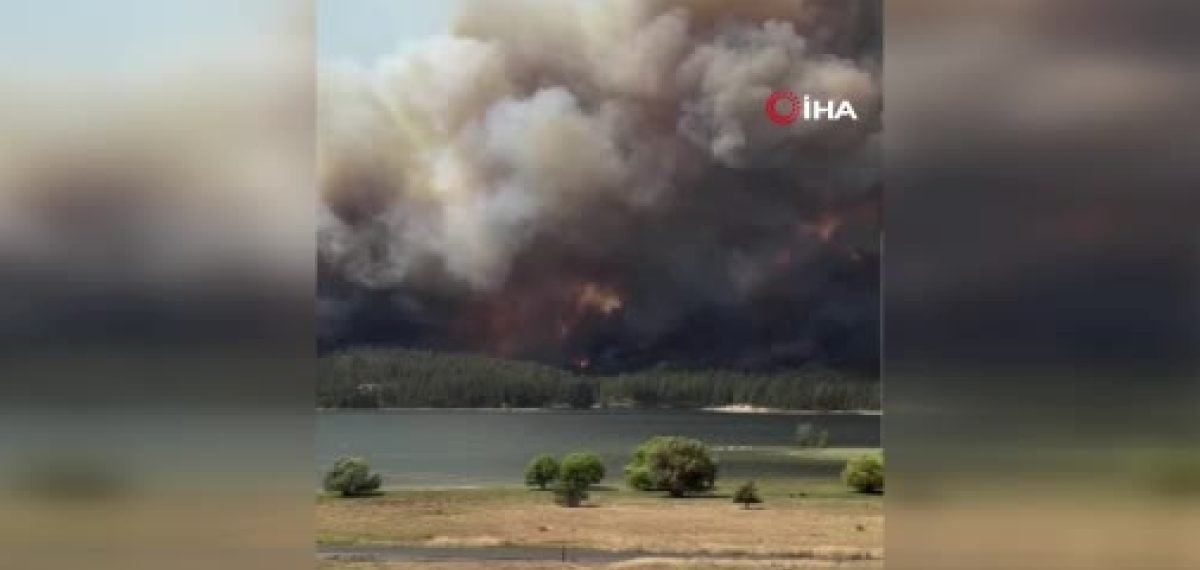 Washington’da hızlı yayılan orman yangını 2 bin 300 dönümü yaktı