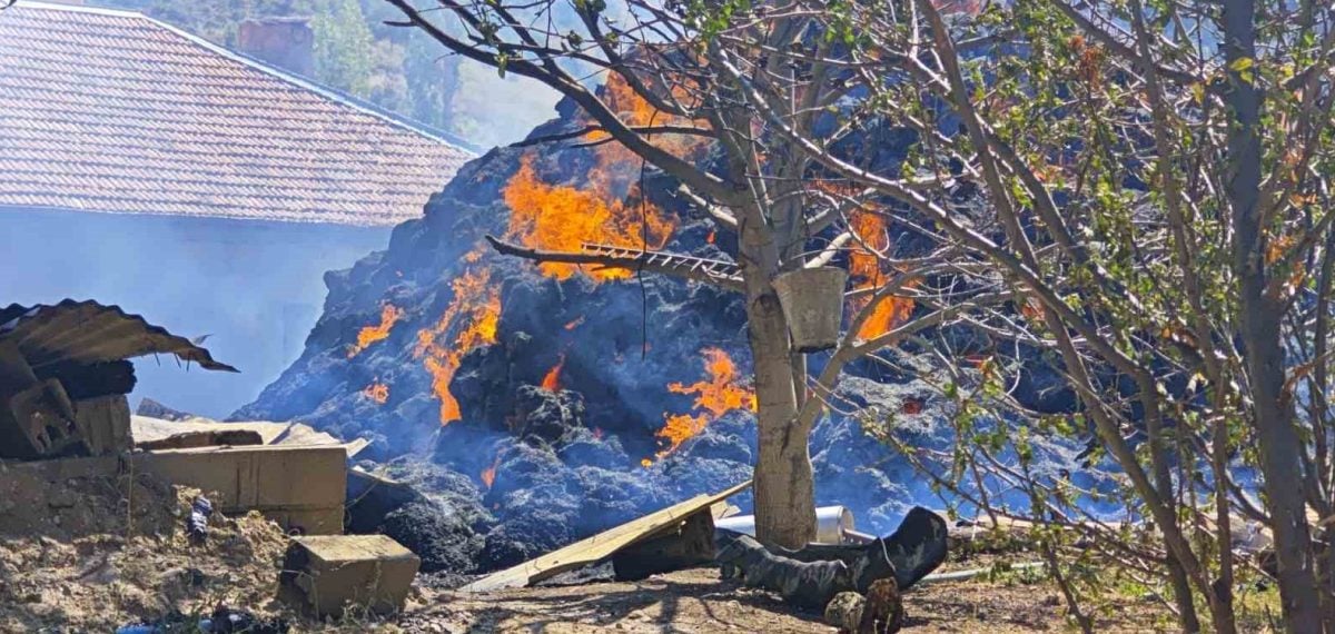 Yalvaç’taki besihanede yangın: bir inek telef oldu, buzağı kurtarıldı