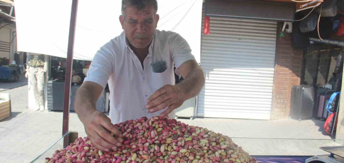 Yeni mahsul Şanlıurfa fıstığı tezgâhlarda kilogramı 700 liradan satışta