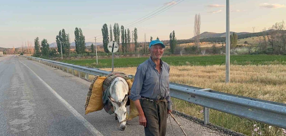 74 yaşındaki çiftçi iki dönümlük arazide eşeğiyle fasulye ekiyor, geçimini sağlıyor
