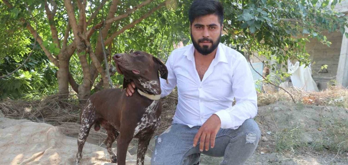 Adana’da komşusunun sopalı saldırısına uğrayan köpek kamera kaydıyla belirlendi