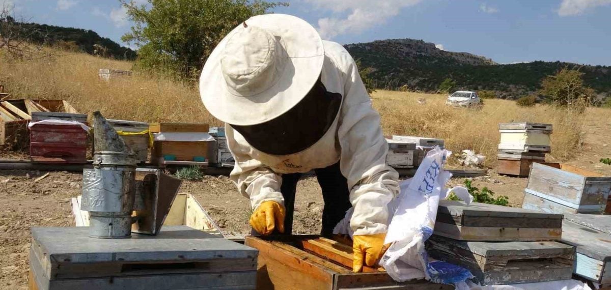 Akçadağ’da organik yayla balı tükendi, kilogramı 1.500 TL’ye satıldı