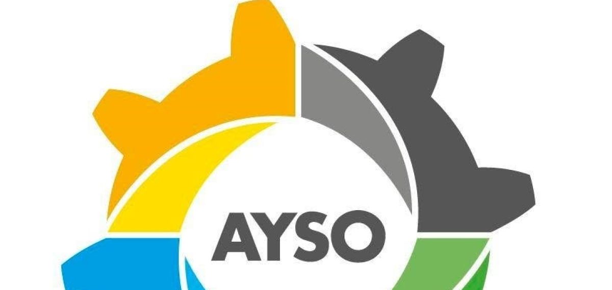 AYSO üyelik kayıtlarında sanayici koşulları sağlanmayanların kaydı silindi