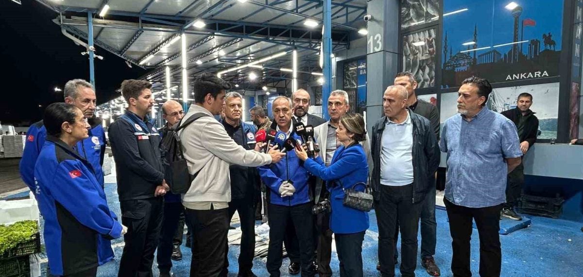 Balık sezonu açıldı: Ankara Toptan Balık Hali’nde hamsi ve palamut bolluğu