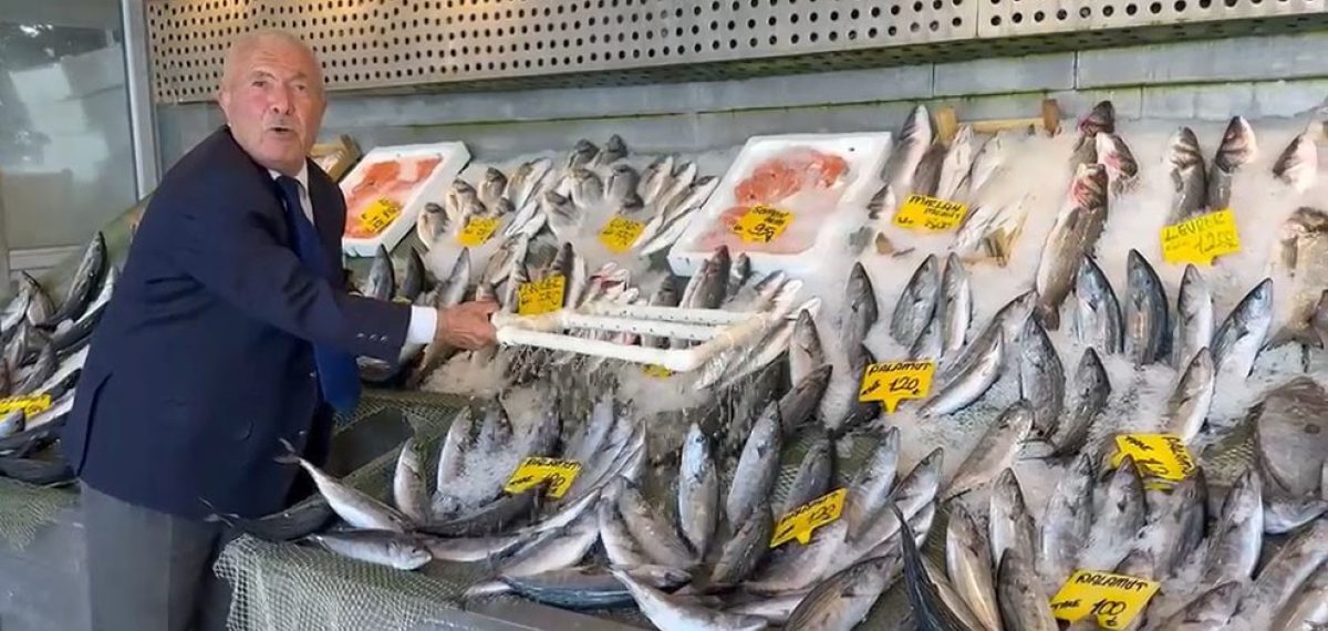 Balık sezonu açıldı, deniz bolluğu fiyatlara yansıdı