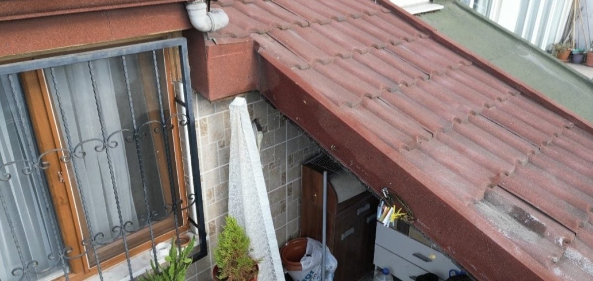 Çatı arasındaki arı sürüsü evi bastı, aile sokmalar nedeniyle hastanelik oldu