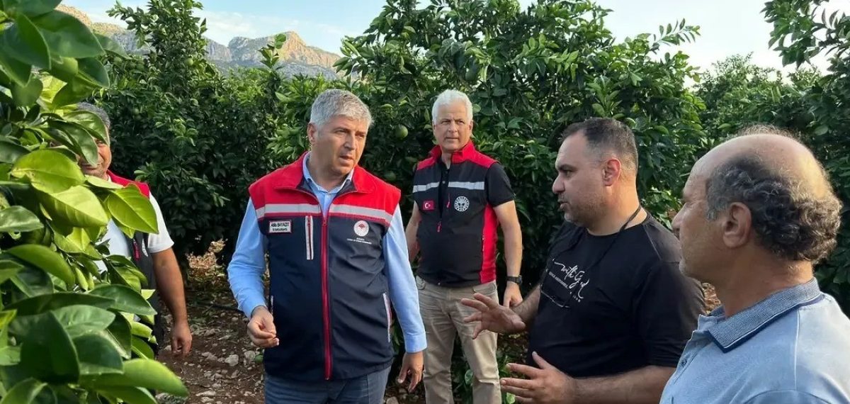 Dolu, Adana Yüreğir’de narenciye ve tarım arazilerini vurdu