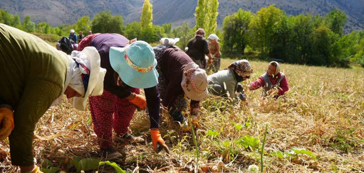 Erzincan’da 38 kırsal yatırım onaylandı 169,6 milyon lira hibe sağlandı