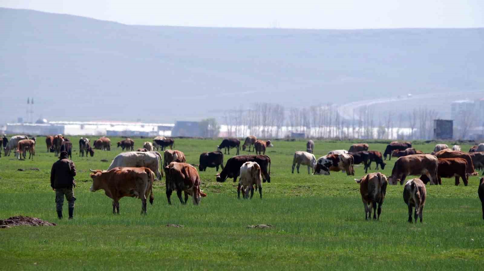 Erzurum’da 329 proje KKYP hibesi aldı, 171.2 milyon TL bütçe ayrıldı