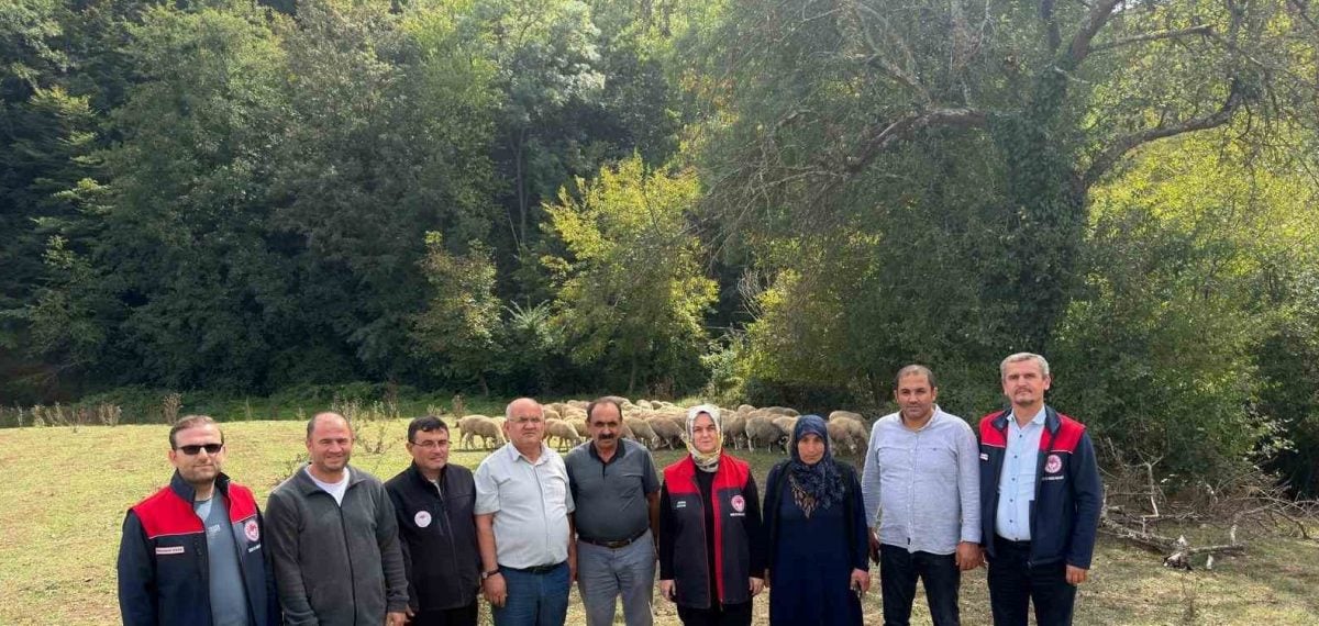 Gümüşovalı üreticiye 100 küçükbaş hayvan teslim edildi, işletme yerinde incelendi