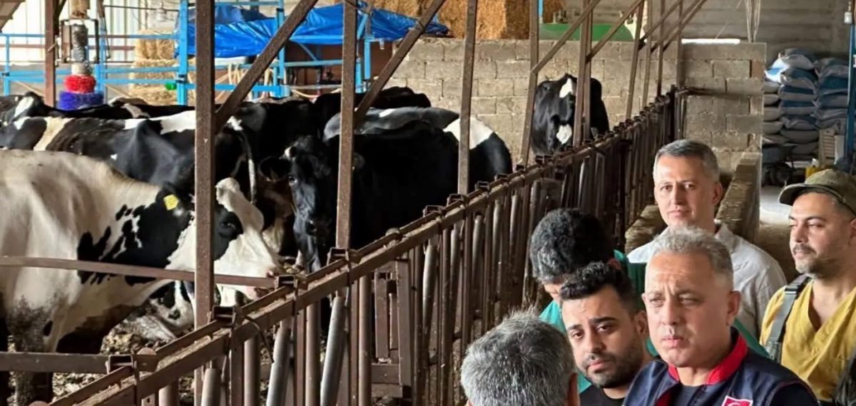 Hatay’da yeni ‘Hastalıktan Ari İşletme Modeli’ tanıtıldı, biyogüvenlik vurgulandı