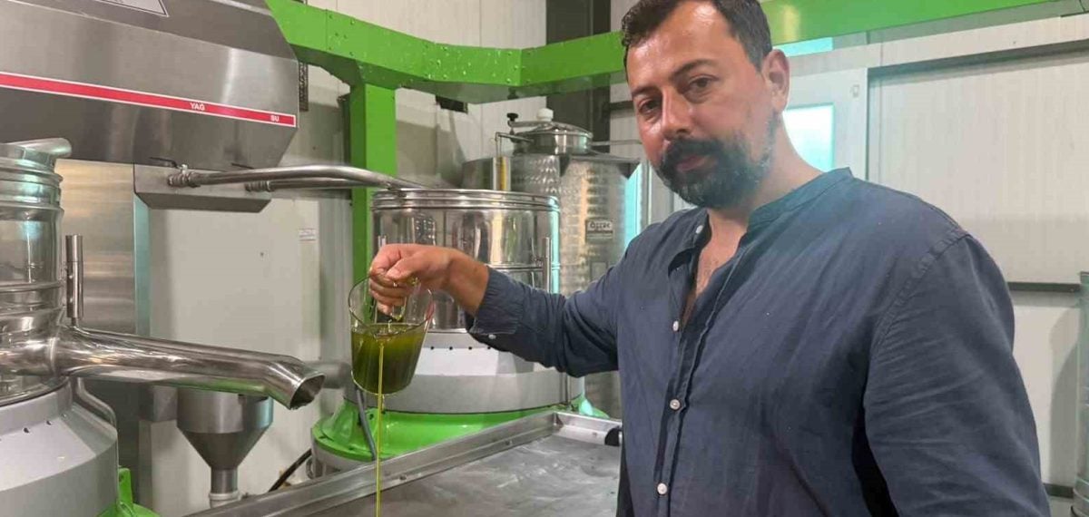 İznik’te ilk hasat zeytinyağı üretimi başladı, ihracat talepleri artıyor