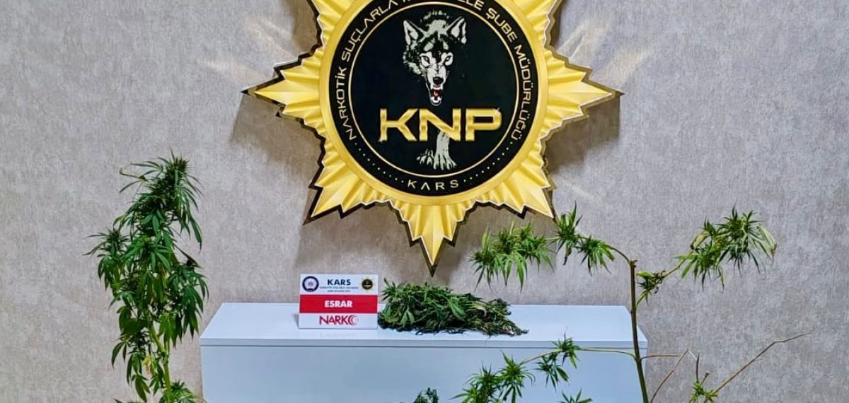 Kars’ta evde yapılan operasyonda 272,55 gram esrar ve 6 kök kenevir ele geçirildi