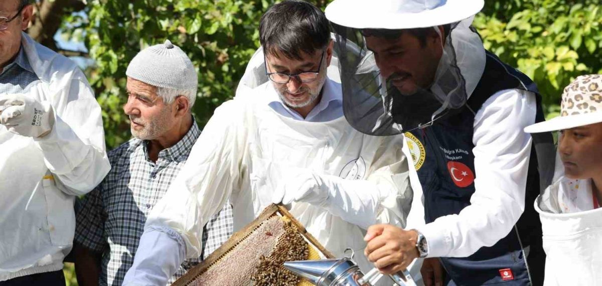 Keles’te bal hasadı etkinliği düzenlendi, 2 bin 560 kovan desteği sağlandı