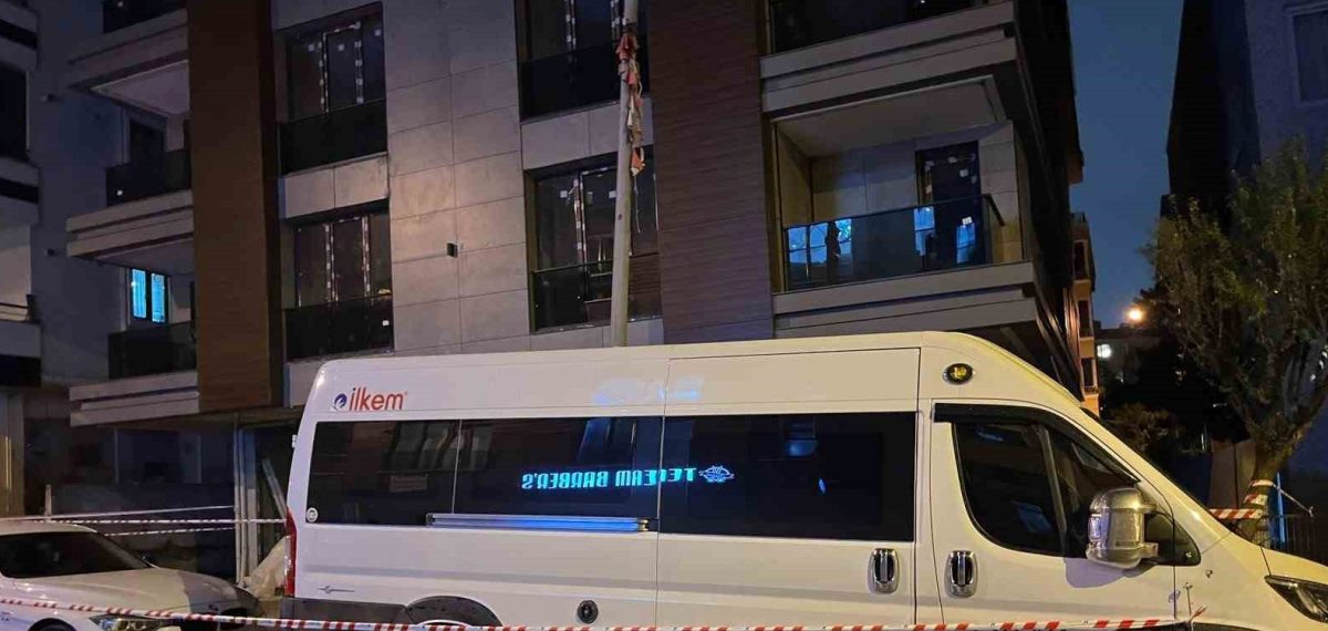 Küçükçekmece’de gezdirilen köpek elektrik akımına kapılarak telef oldu