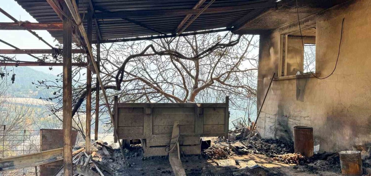 Kumluca’daki orman yangını kontrol altına alındı, 3 bin 500 dönüm etkilendi
