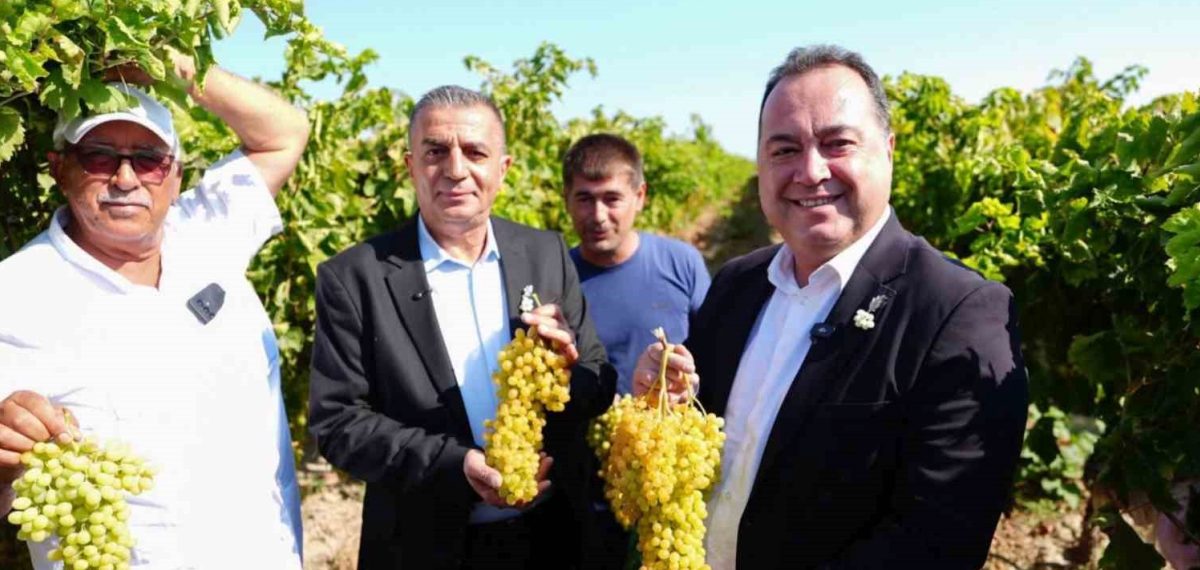 Manisa’da Bağbozumu Şenlikleri Hacıhaliller’de başladı, protokol sembolik üzüm hasadı yaptı