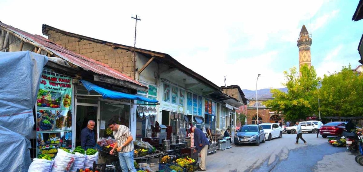 Muş bağlarında hasat başladı ve meyveler tezgâhlarda yerini aldı