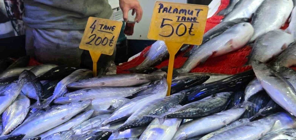 Palamut bolluğu tezgâhlarda: Tane 50 TL, kiloluklar 90-100 TL
