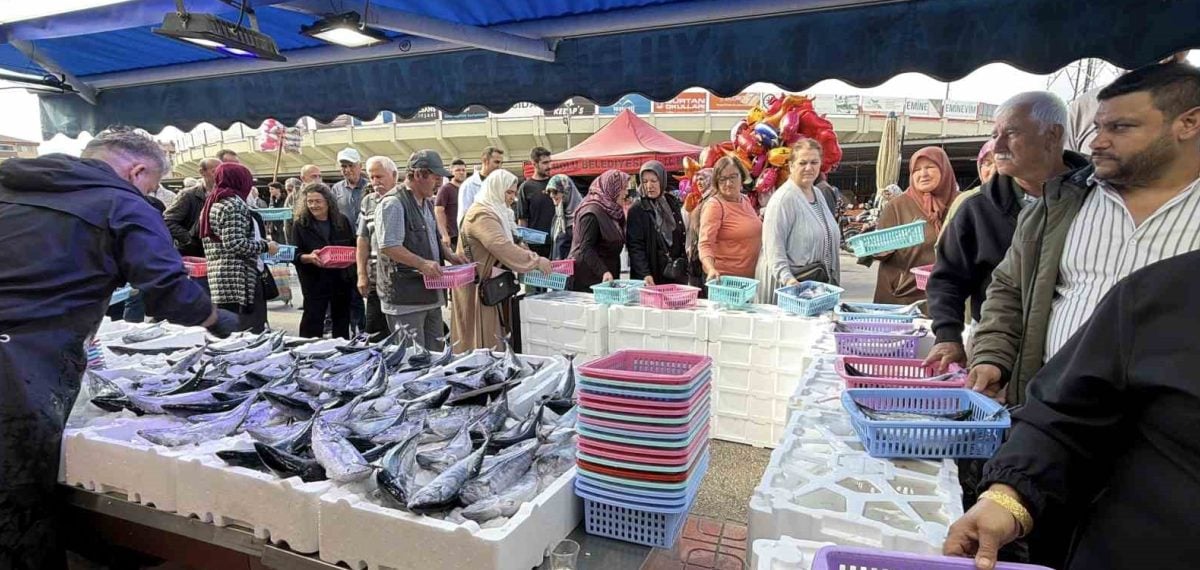 Palamut ve hamsi bolluğu pazarda yoğun ilgiyle karşılandı
