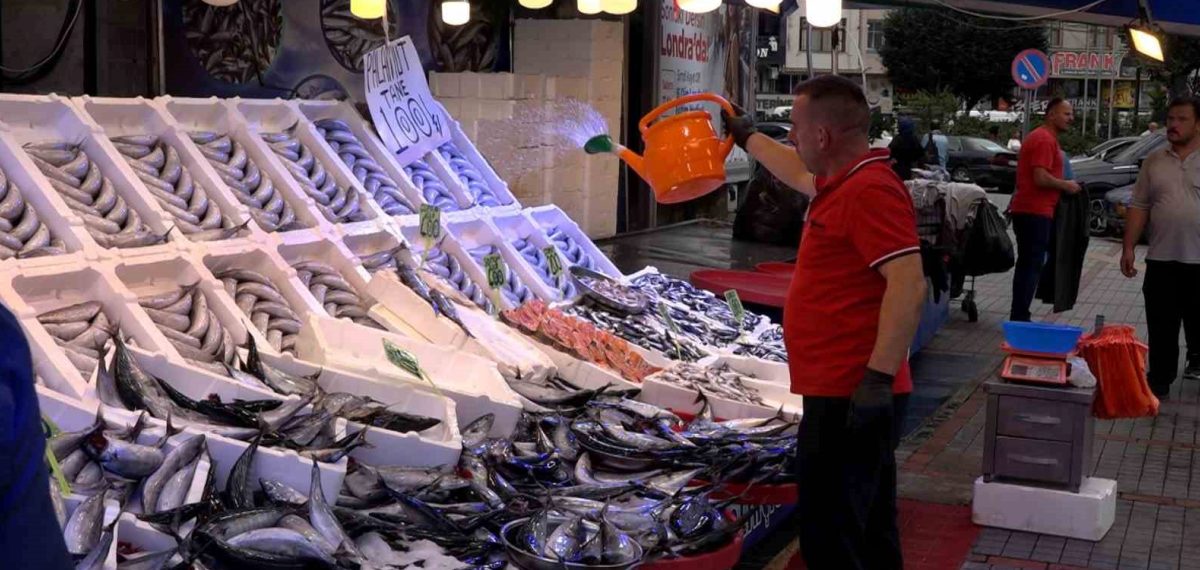 Palamut ve hamsi sezonu başladı, tezgahlarda bolluk fiyatlar makul