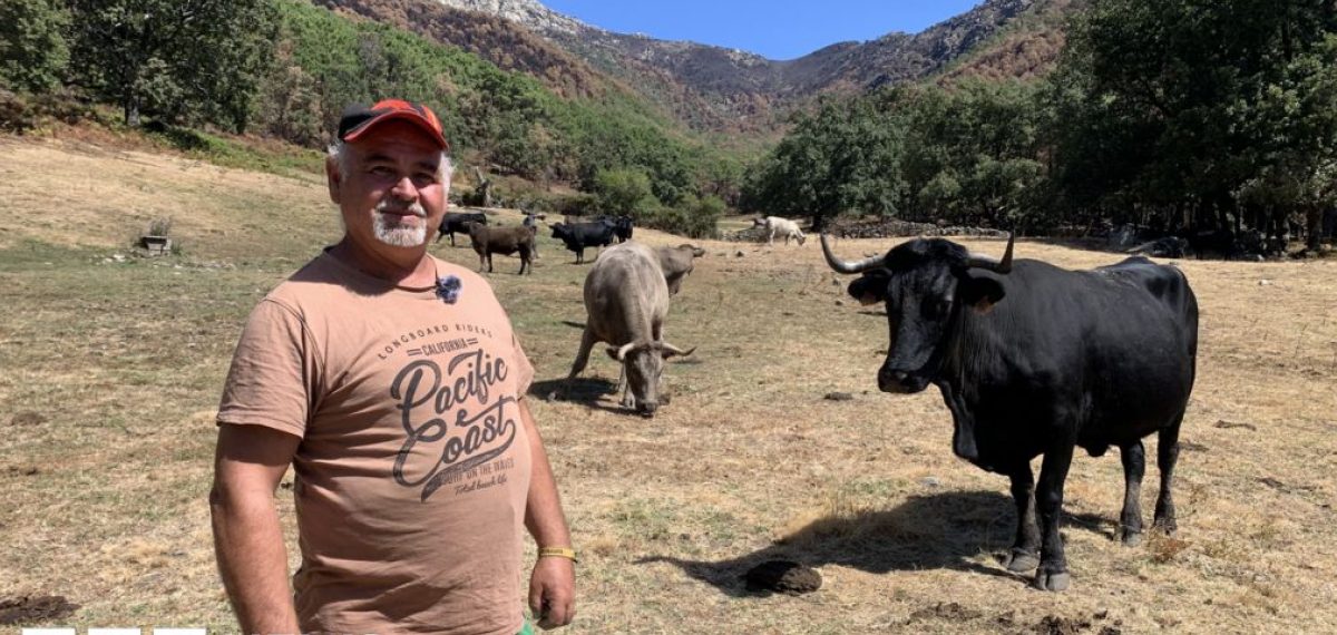 Record summer wildfires scorch Spain’s landscapes and hit farmers hard