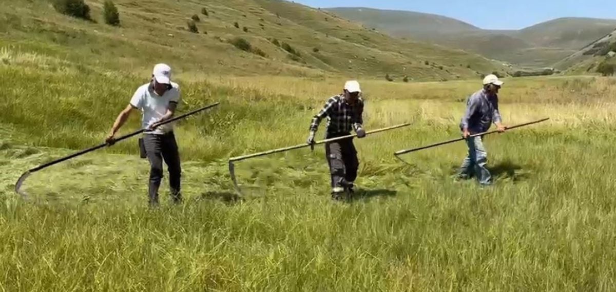 Sağanak yağışlar Ardahan köylerinde tarla çalışmalarını aksattı, imeceyle telafi edildi