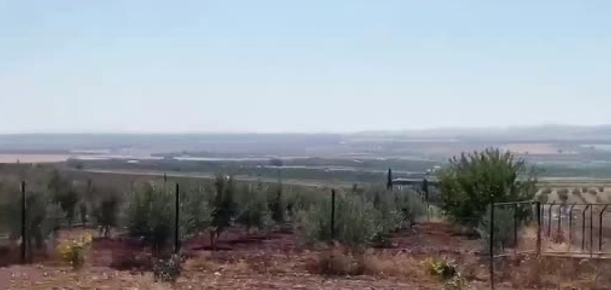 Samsun polisinin dikkati dolandırıcılık şebekesini Şanlıurfa bağ evine kadar açığa çıkardı