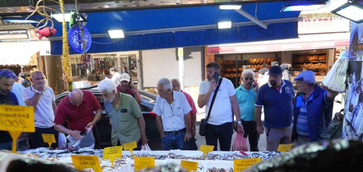 Samsun’da palamut bolluğu: tanesi 80 TL’den satışa sunuldu