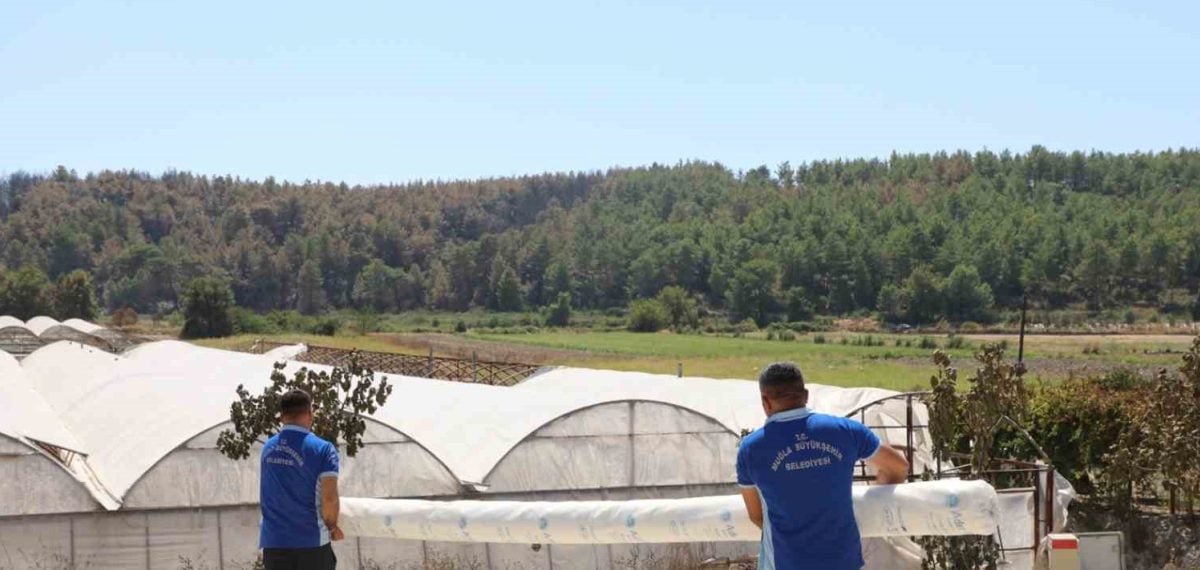 Seydikemer yangınında zarar gören seraya 12 top sera naylonu desteği sağlandı
