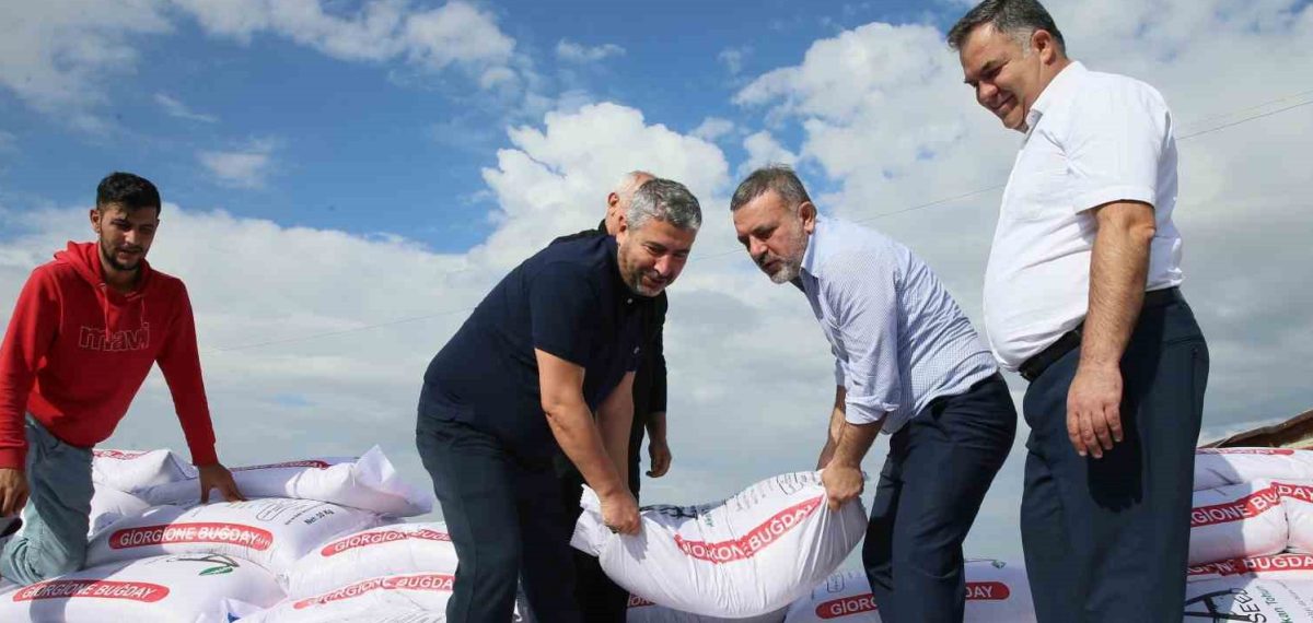 Sincan Belediyesi çiftçiye yüzde 75 hibeli buğday tohumu desteği açıklaması
