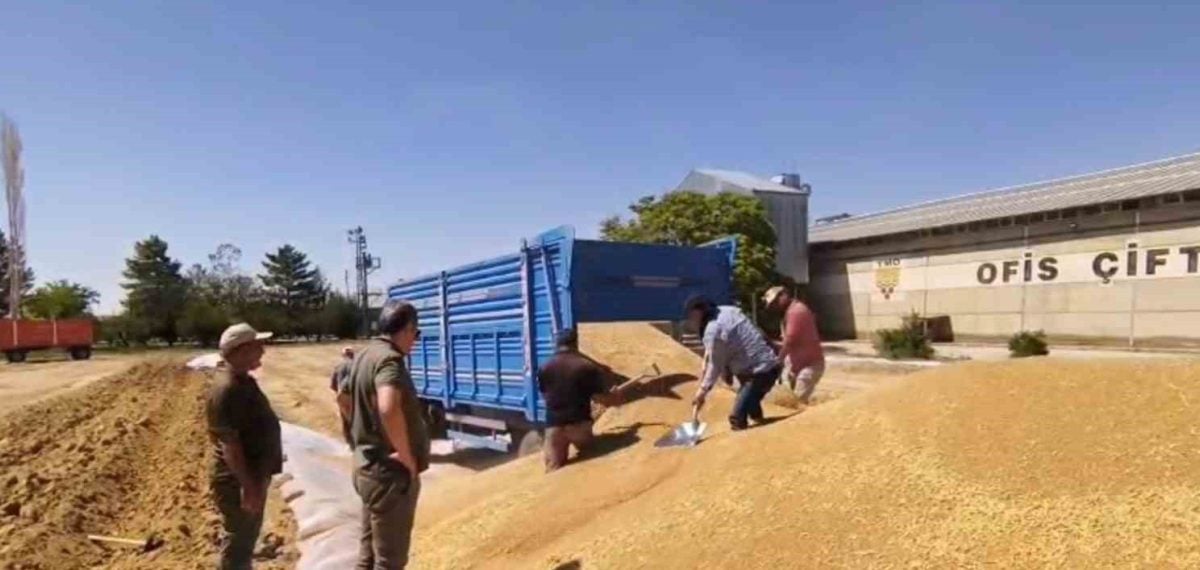TMO Konya’da 92 noktada yaklaşık 2 milyon ton hububat aldı