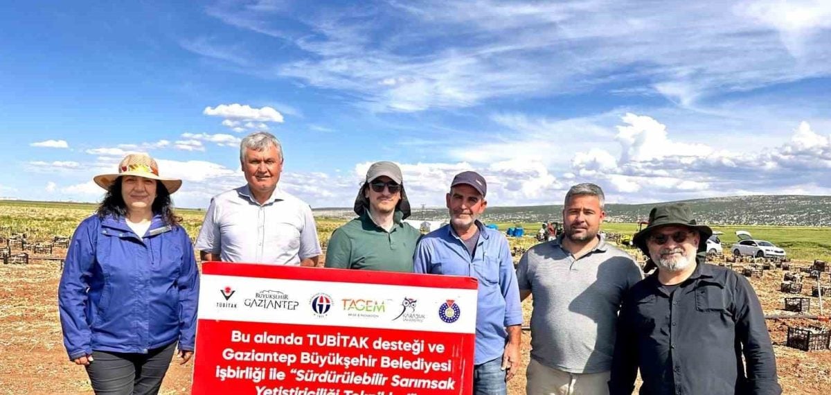TÜBİTAK destekli proje sarımsakta Stemphylium yaprak yanıklığını 9 ilde inceliyor