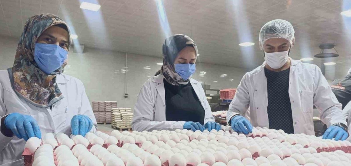Üretim maliyeti artarken iç piyasada arz fazlası nedeniyle zam beklenmiyor