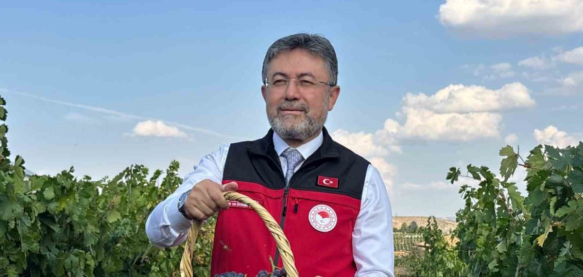 Üzüm üretiminde artış: 2025 tahmini 3 milyon 850 bin ton