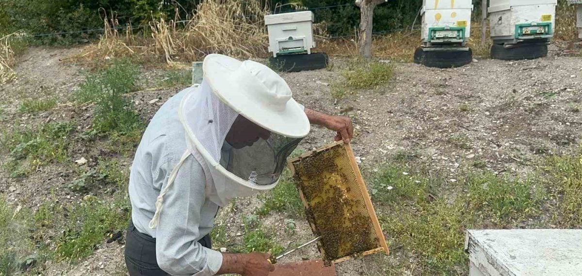 75 yaşındaki arıcıdan 20 yıldır İngiltere ve Avusturya’ya doğal bal ihracatı